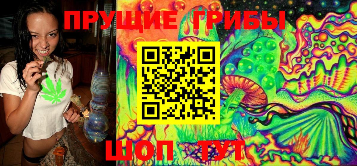 Псилоцибиновые грибы GOLDEN TEACHER Лангепас