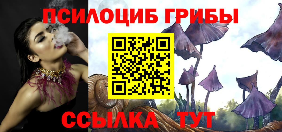 Псилоцибиновые грибы MAGIC MUSHROOMS  Вход с VPN  Лангепас 
