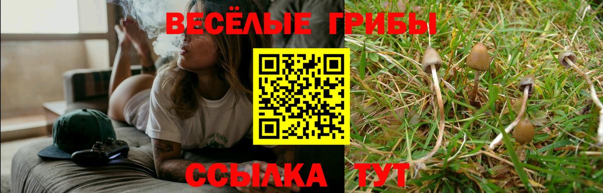 Метамфетамин  Лангепас  LSD-25  Каннабис  Меф МЯУ МЯУ   Вход с VPN  Гашиш  Каннабис  КОКАИН 